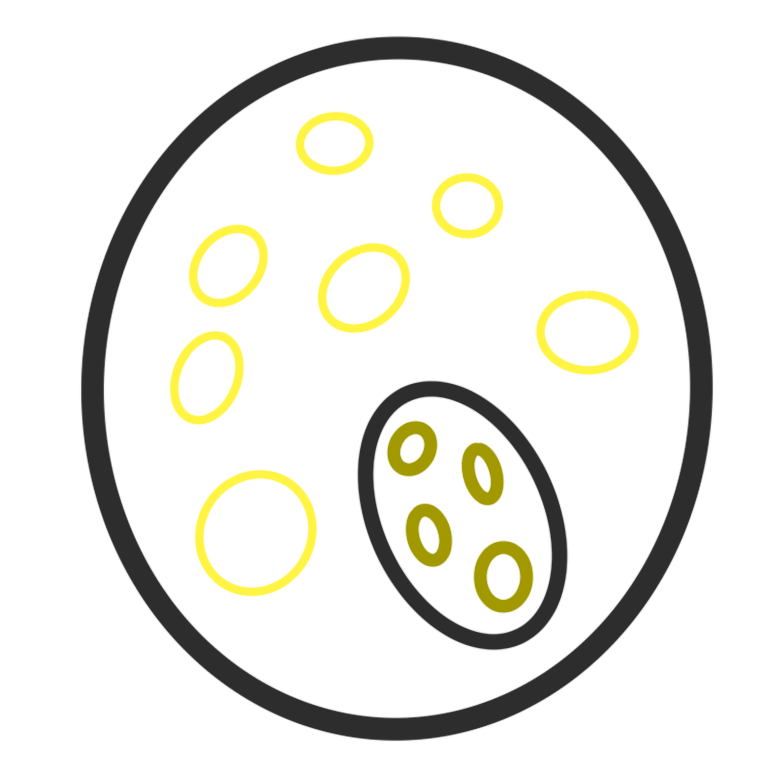 A large circle that has many smaller yellow circles in it, as well as a dark grey circle that has smaller green circles in it